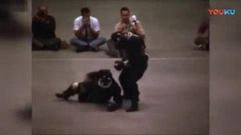 截拳宗师爆料视频大全,爆料视频大全深度解析